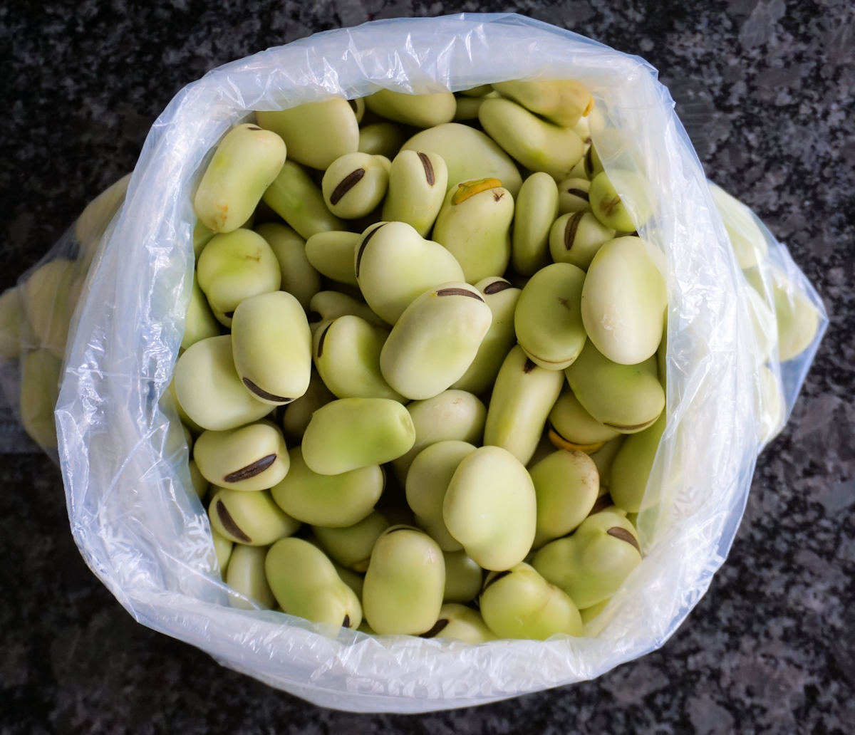 Crushed Broad Beans Recipe Cuisine Fiend